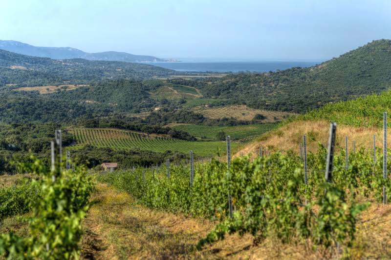 Domaine Vaccelli