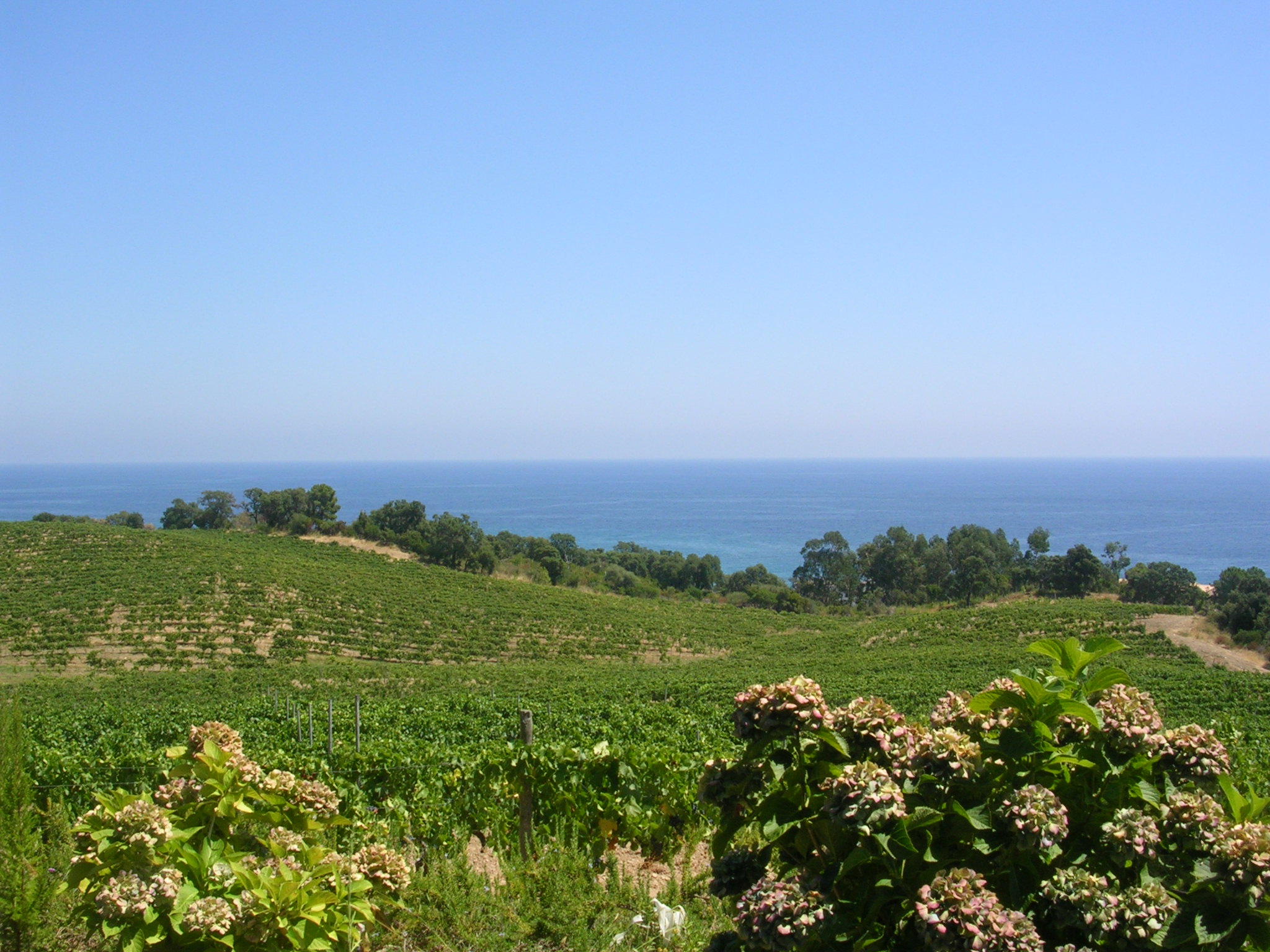 Domaine de Solenzara