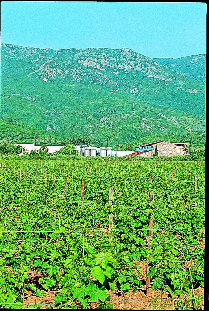 Corsican -  Groupe UVAL