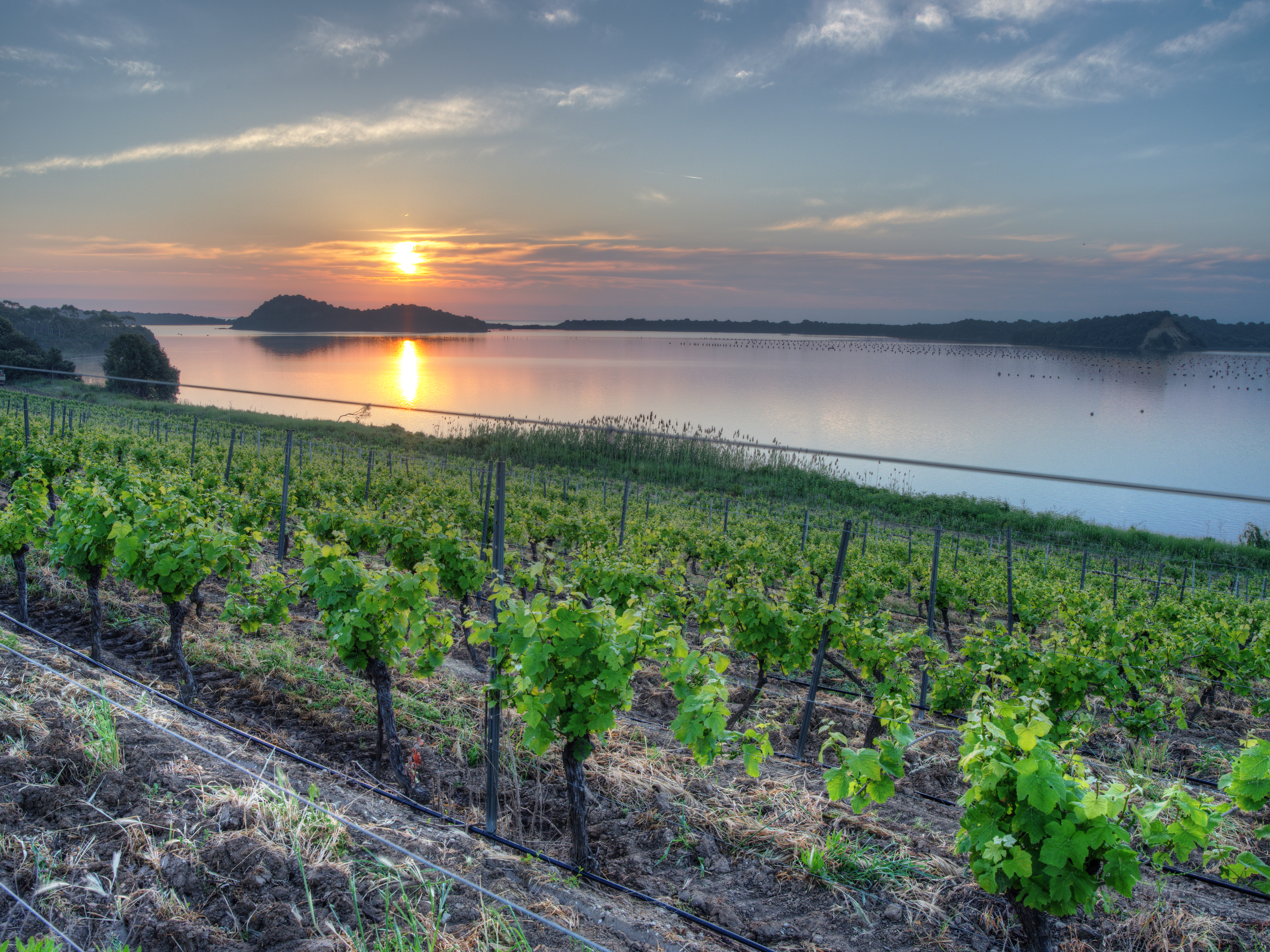 Domaine Terra Vecchia / Clos Poggiale